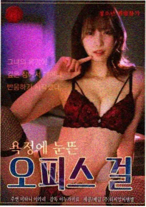 律政长剧沉默的证词的中文字幕剧集封面